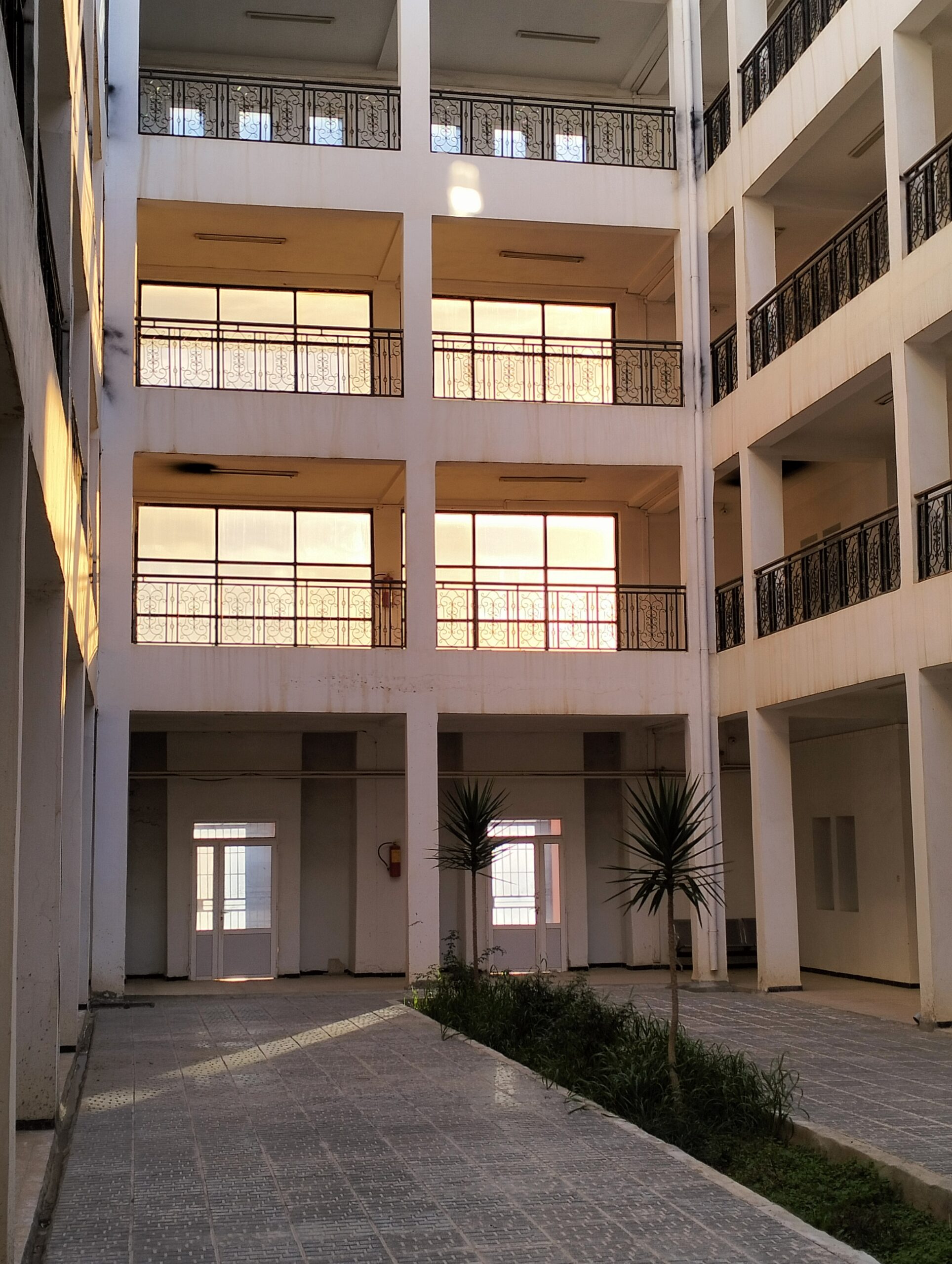 Image 12