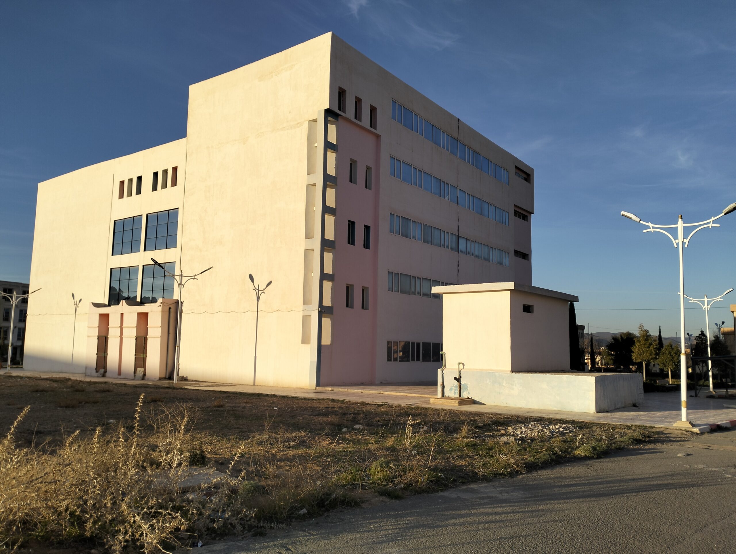 Image 3